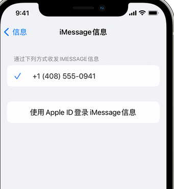 彬村山华侨农场apple维修iPhone上无法正常发送iMessage信息 