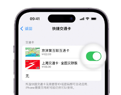 彬村山华侨农场apple维修点分享iPhone上更换Apple Pay快捷交通卡手绘卡面 