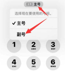 彬村山华侨农场苹果14维修店分享iPhone 14 Pro Max使用副卡打电话的方法 