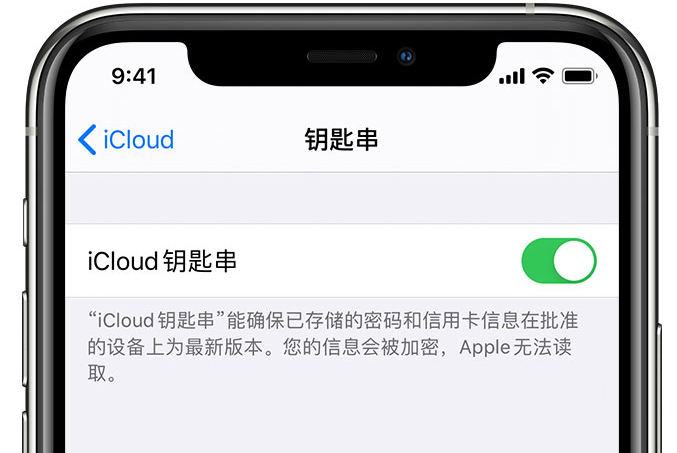 彬村山华侨农场苹果手机维修分享在 iPhone 上开启 iCloud 钥匙串之后会储存哪些信息 